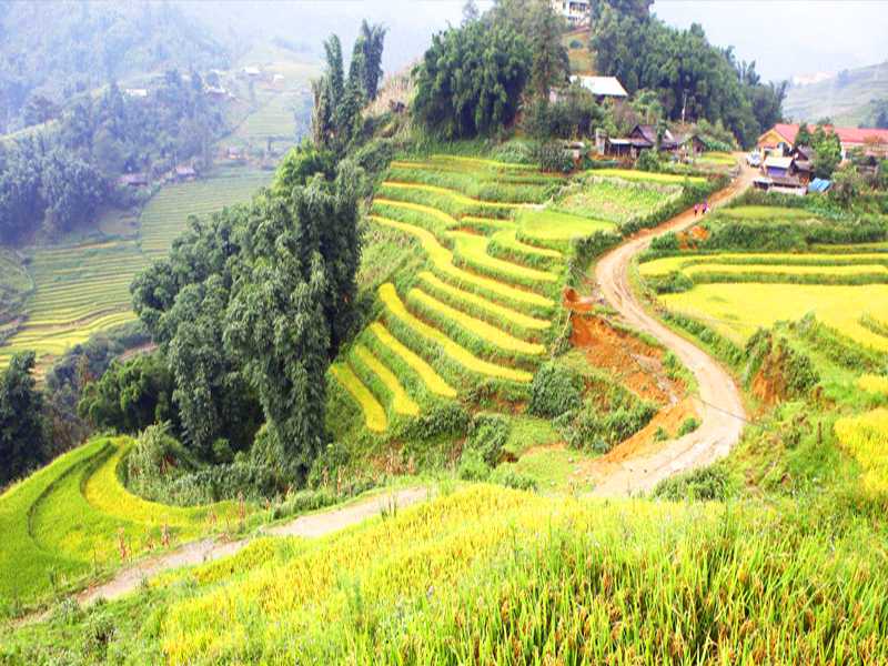 Sapa Tour - 1 Day - Visit Villages: Cat Cat - Sin Chai