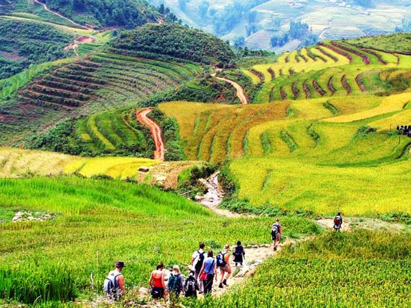 Sapa Tour - 1 Day - Visit Villages: Ma Tra - Ta Phin