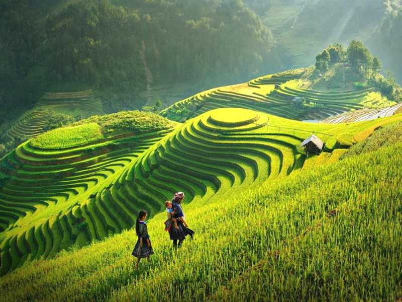 Hanoi Sapa Tours By Bus - 2 Days 1 Night Sleep in Hotel